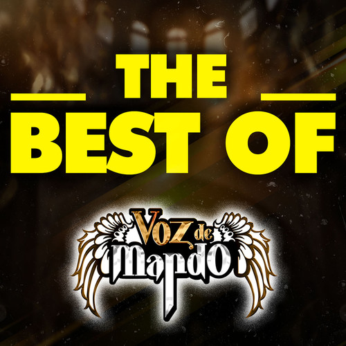 THE BEST OF (Explicit)