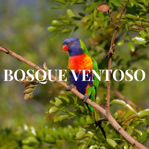 BOSQUE VENTOSO