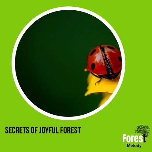 Secrets of Joyful Forest