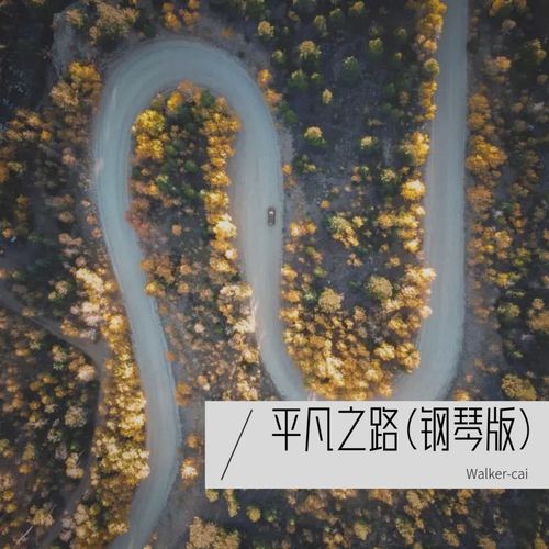 平凡之路(钢琴版)