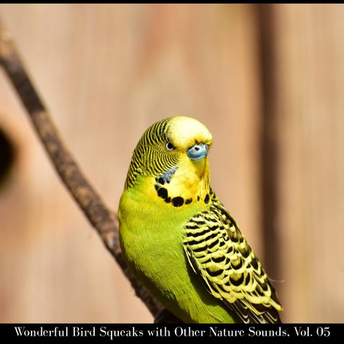 Wonderful Bird Squeaks with Other Nature Sounds, Vol. 05