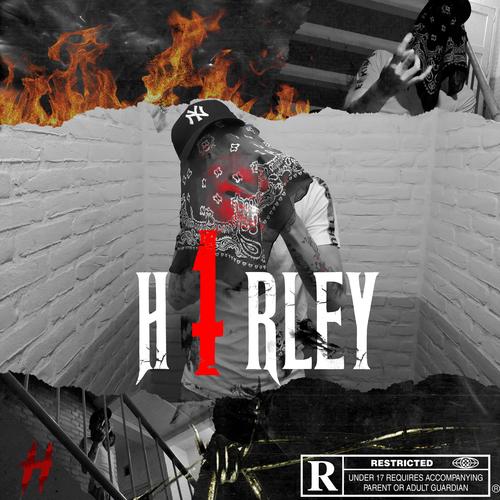 H1rley (Explicit)