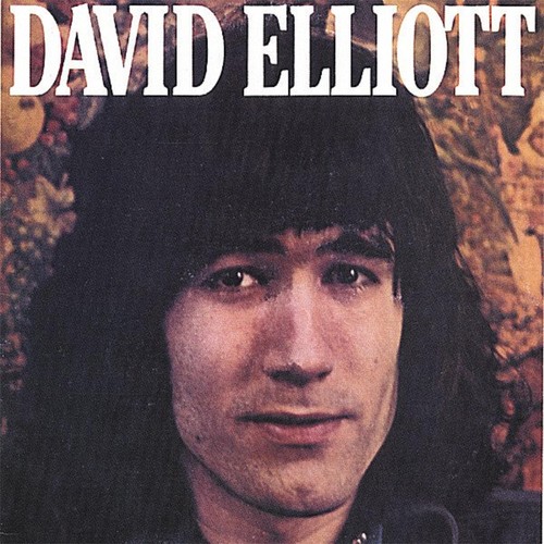 David Elliott