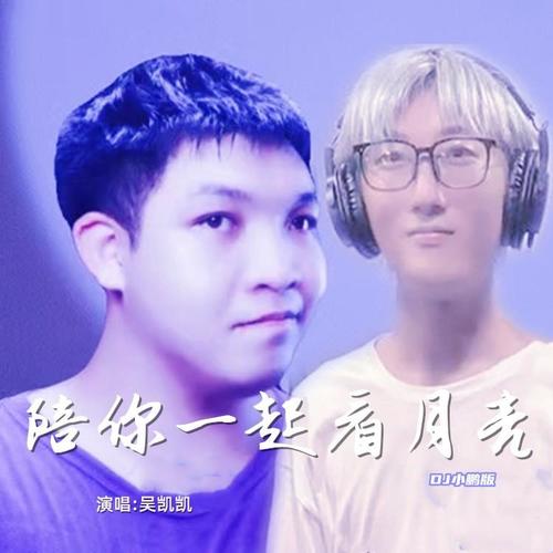 陪你一起看月亮(DJ小鹏版)