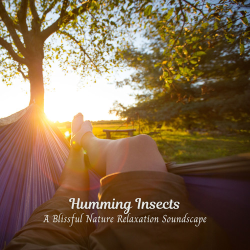 Humming Insects: A Blissful Nature Relaxation Soundscape