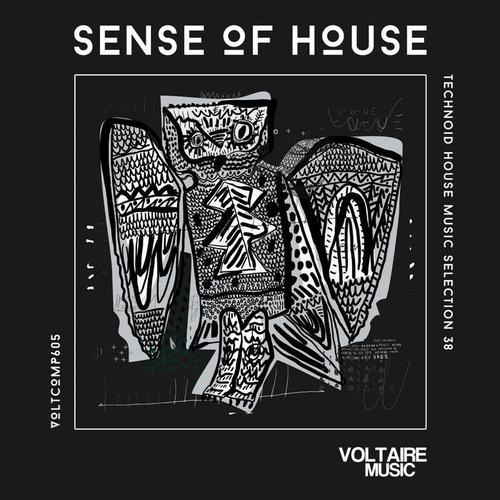 Sense of House, Vol. 38 (Technoid House Music Selection 38)