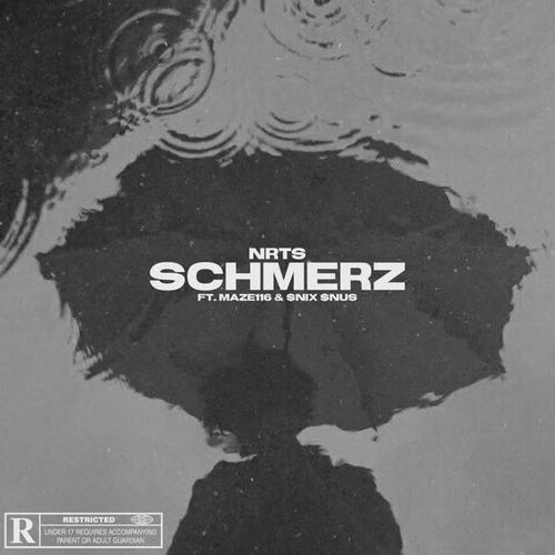 Schmerz (feat. Maze116 & $nix $nus) [Explicit]