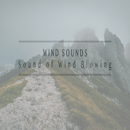 Sound of Wind Blowing