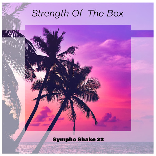 Strength Of The Box Sympho Shake 22