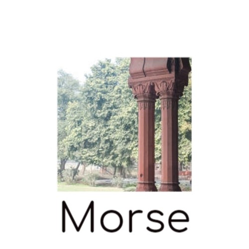 Morse