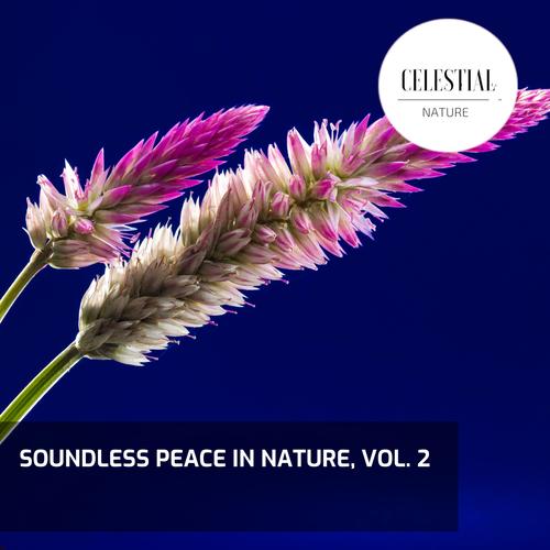 Soundless Peace in Nature, Vol. 2