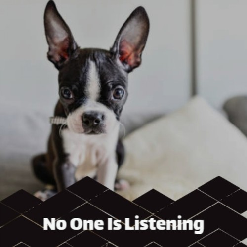 No One Is Listening