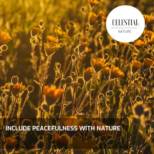 Include Peacefulness With Nature