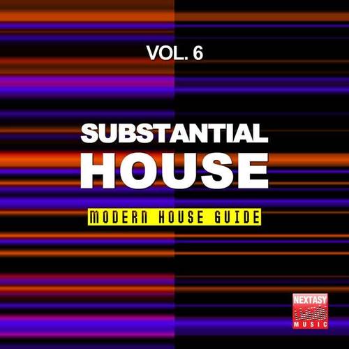 Substantial House, Vol. 6 (Modern House Guide)