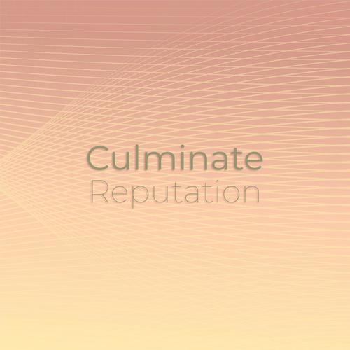 Culminate Reputation