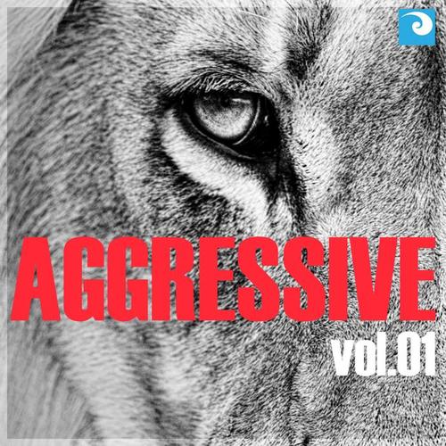 Aggressive Vol. 01