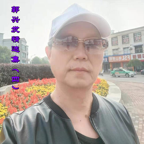 郭兴发精选集（四）