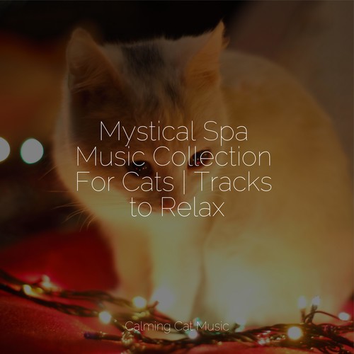 Mystical Spa Music Collection For Cats | Tracks to Relax