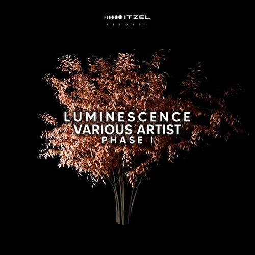 LUMINESCENCE Various Artist Phase I