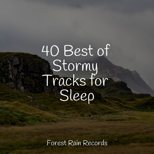 40 Best of Stormy Tracks for Sleep