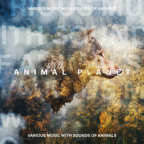 Animal Planet – Various Music with Sounds of Animals