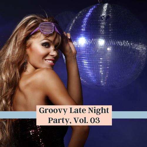 Groovy Late Night Party, Vol. 03