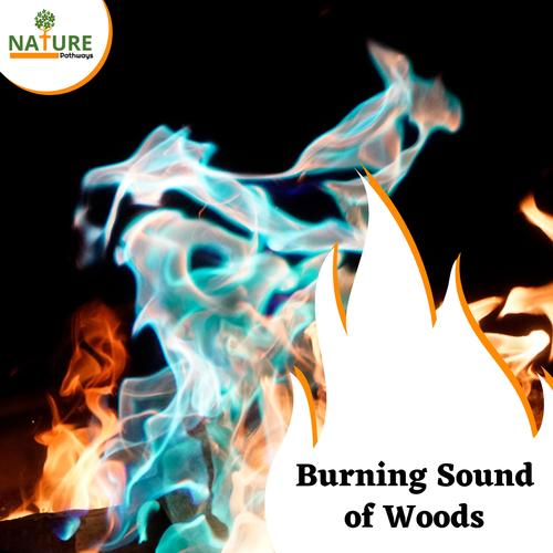 Burning Sound of Woods