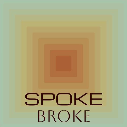 Spoke Broke