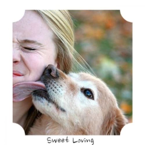 Sweet Loving