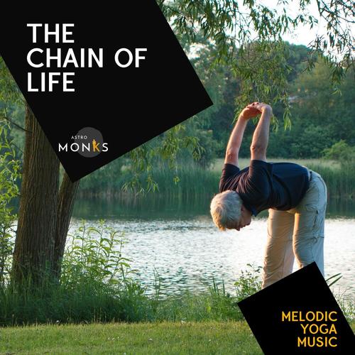 The Chain of Life - Melodic Yoga Music