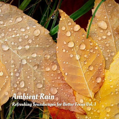 Ambient Rain: Refreshing Soundscapes for Better Focus Vol. 1