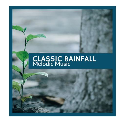 Classic Rainfall -Melodic Music