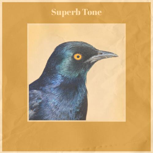 Superb Tone