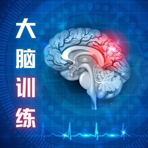 大脑训练 – 大脑刺激音乐，正念音乐，冥想歌曲，自生训练