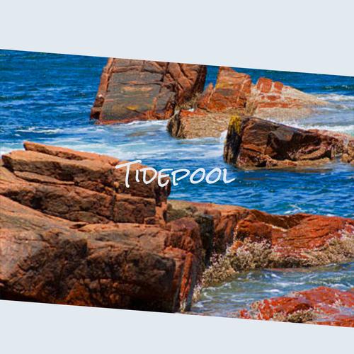 Tidepool