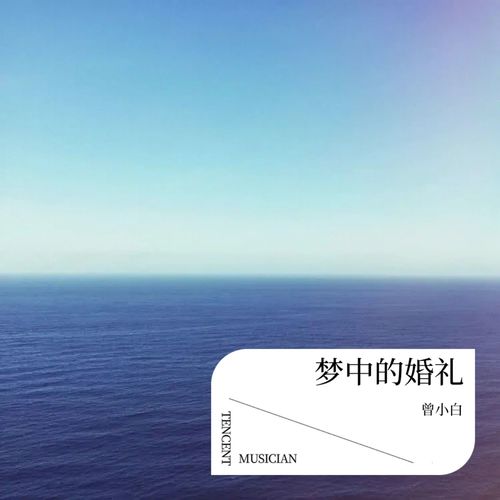 梦中的婚礼