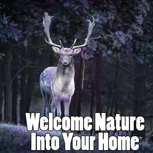 Welcome Nature Into Your Home