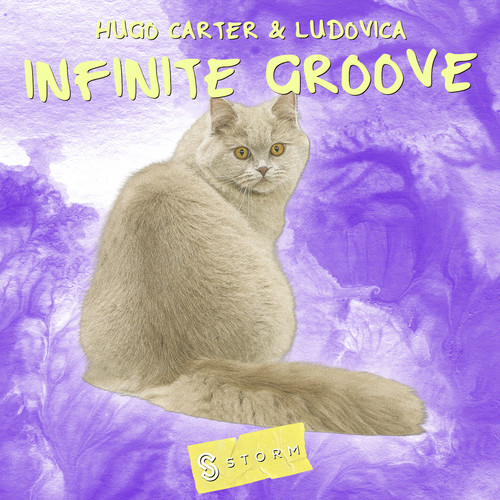 Infinite Groove