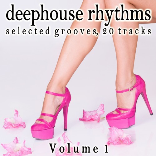 Deephouse Rhythms, Vol. 1