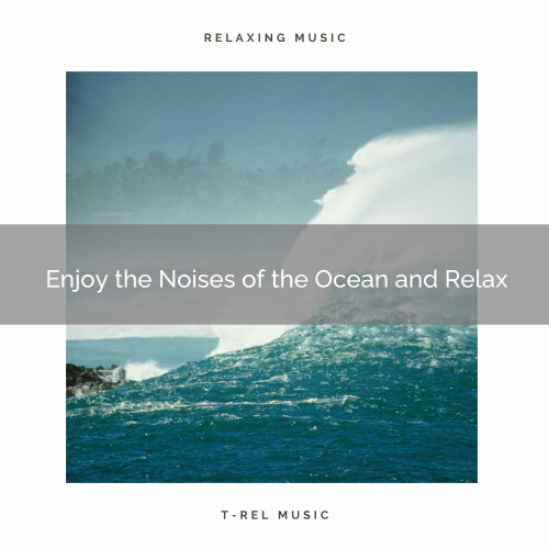 Enjoy the Noises of the Ocean and Relax