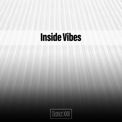 Inside Vibes District XXIII