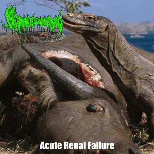 Acute Renal Failure