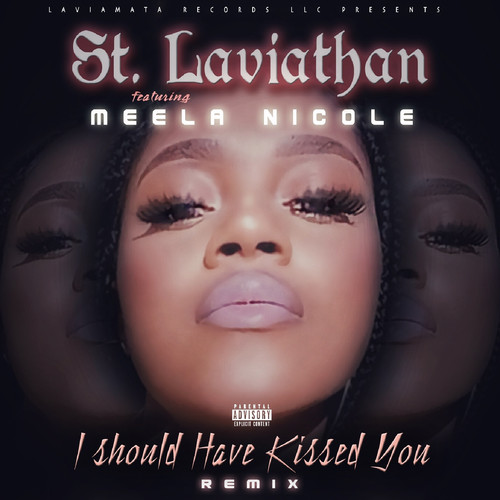 I Should Have Kissed You (Remix) [Explicit]