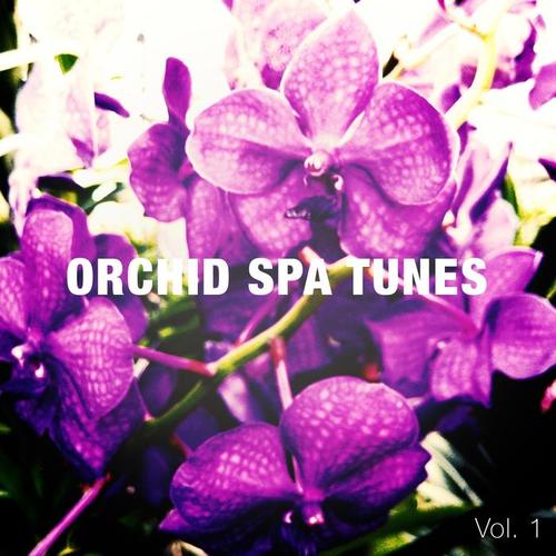 Orchid Spa Tunes (Asian Inspired Spa and Wellness Tunes)