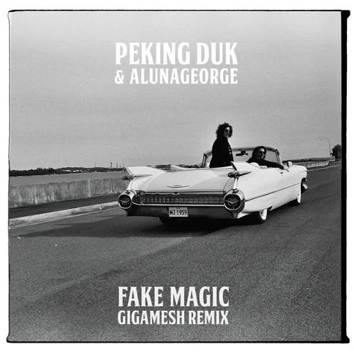 Fake Magic (Gigamesh Remix)