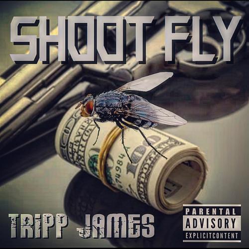 Shoot Fly (Explicit)