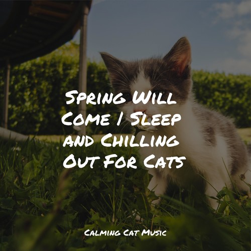 Spring Will Come | Sleep and Chilling Out For Cats