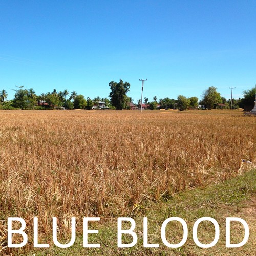 Blue Blood