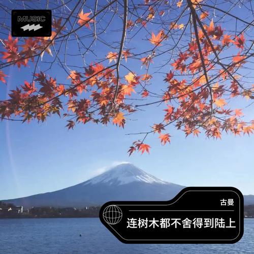 连树木都不舍得到陆上苟活