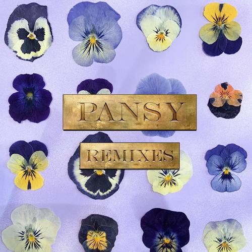 PANSY REMIXES (Explicit)